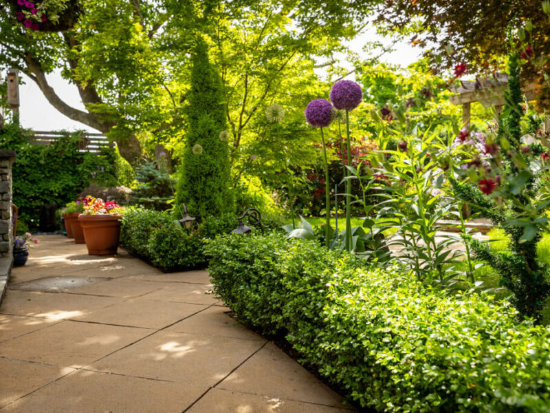 49eda39081033f44f32111d0b3ea9ab2