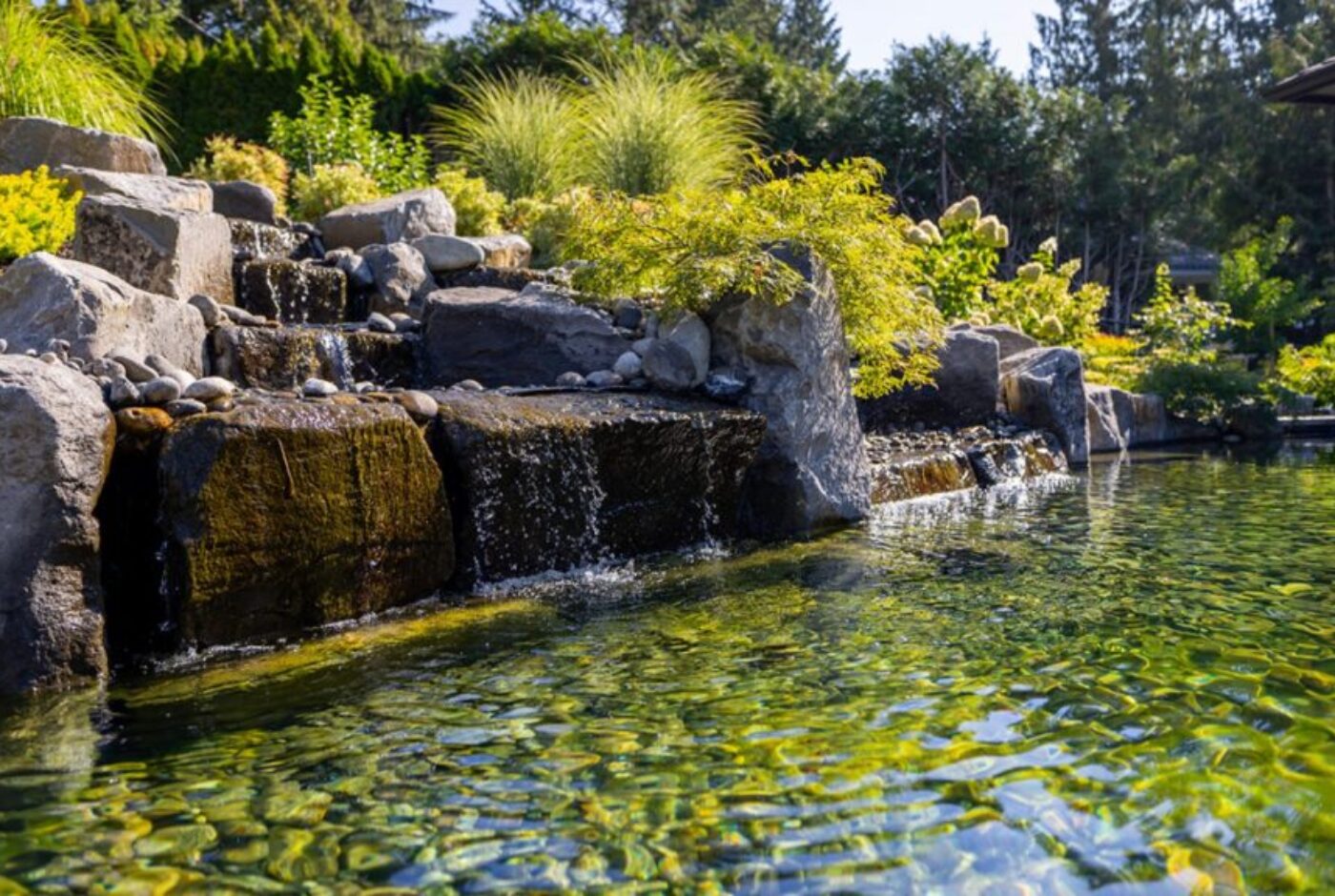 The Truth About Pond Maintenance