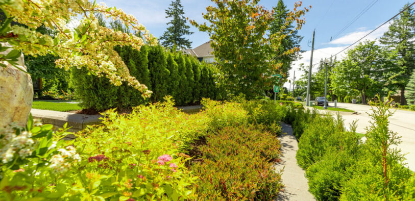 6f5092f92c04a283a883b11d4430a26b