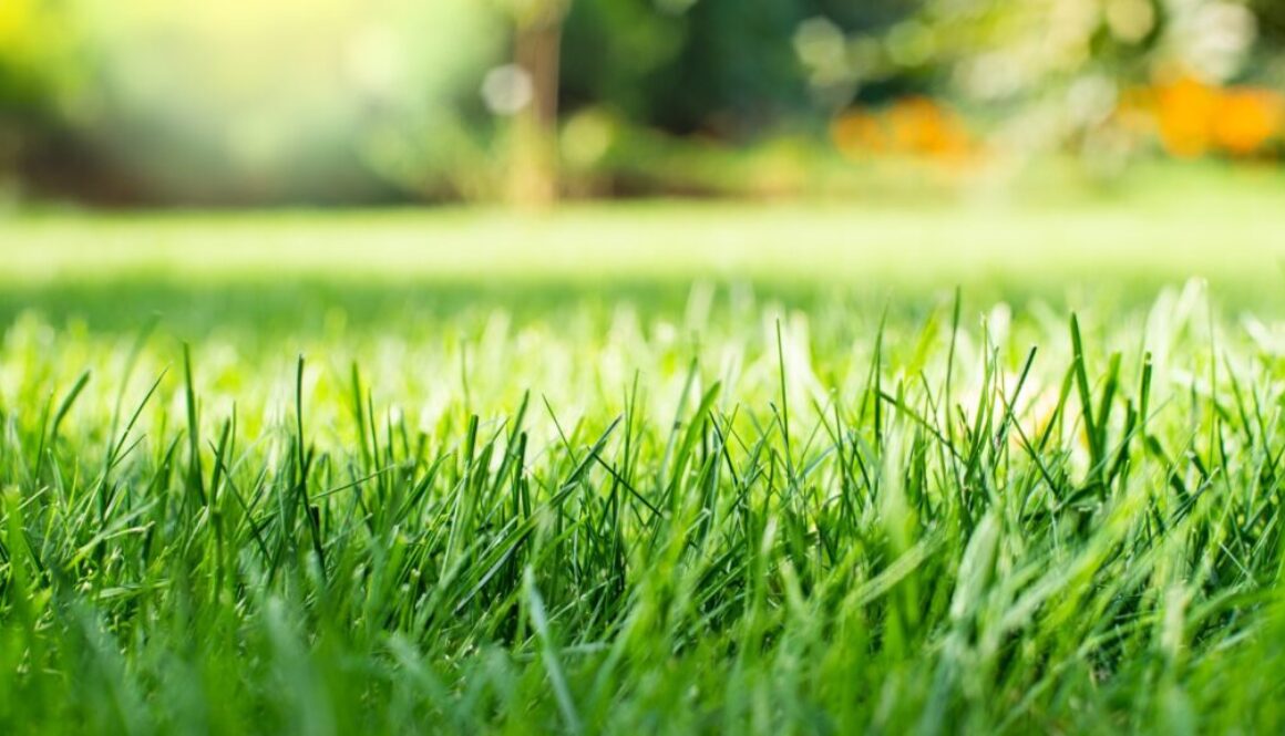 77a8b2029be9944e051ec6b52f4aa6ae