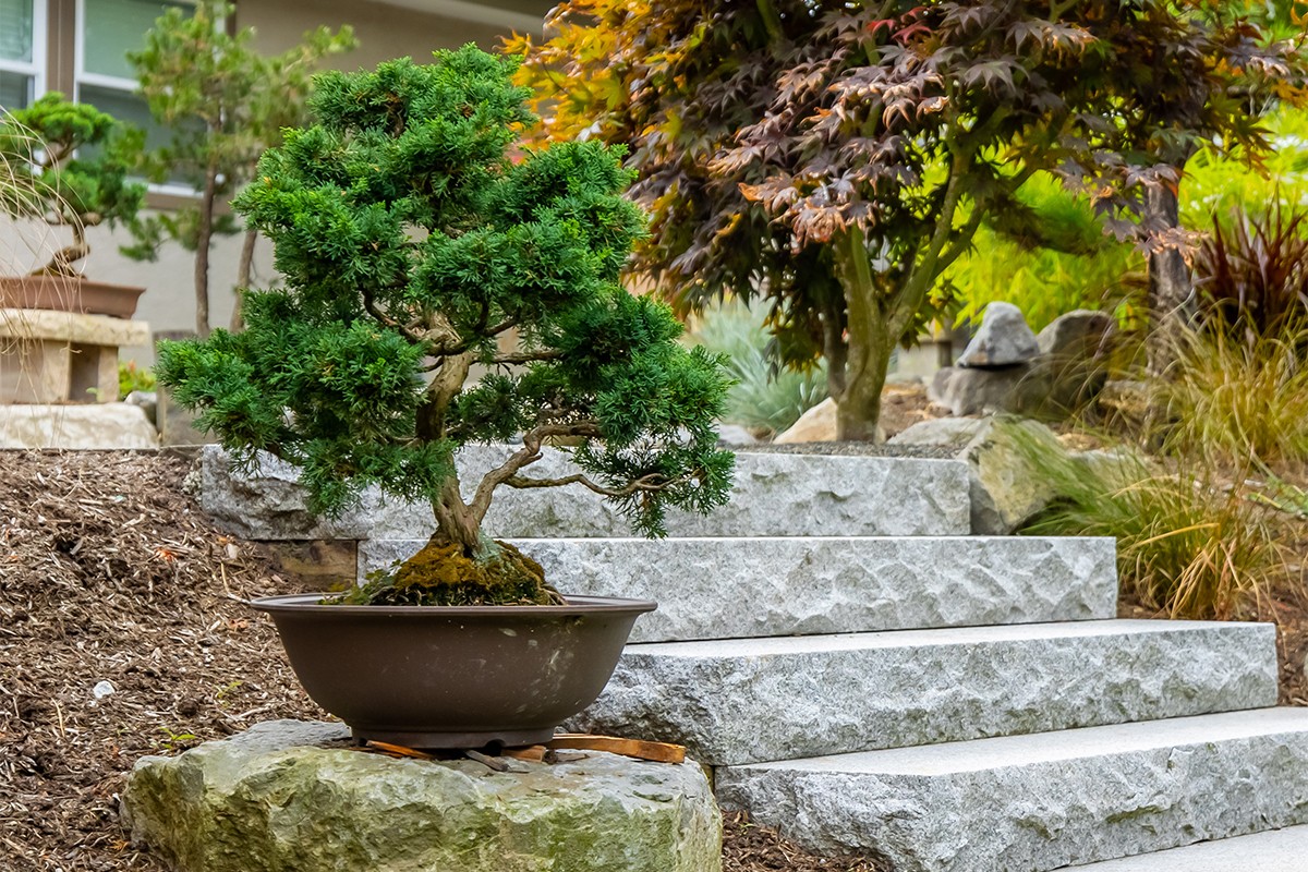 Natural stone is abundant, both in nature and in this design. Solid stone slabs connect the upper and lower levels and the homeowner’s bonsai is given a place of honour on the adjacent boulder.