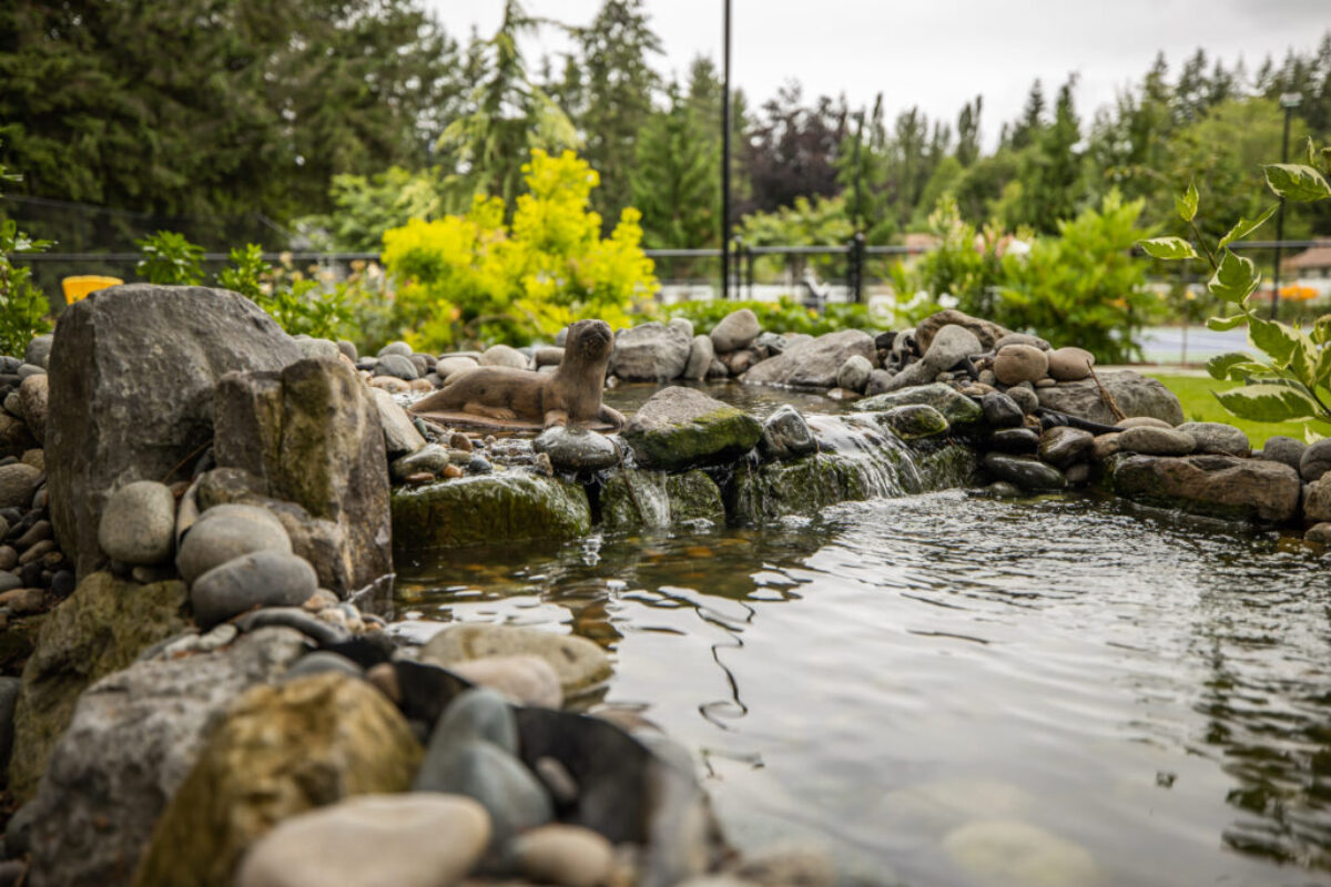 Water features
